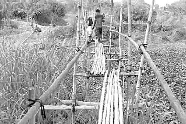 বাঁশের সাঁকোতে ১৪ গ্রামের মানুষের পারাপার