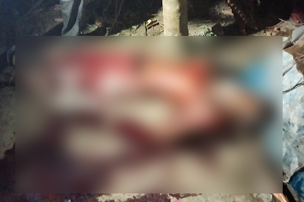 নাটোরে জমি নিয়ে বিরোধের জেরে বৃদ্ধকে কুপিয়ে হত্যা