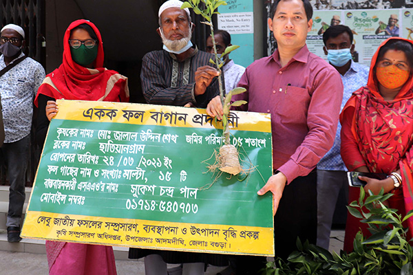 কৃষকদের মাঝে লেবুজাতীয় ফলের চারা বিতরণ