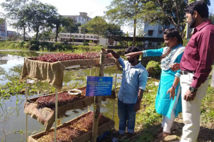 সিকৃবি'র গবেষণা: ভাসমান খামারে বাড়বে উৎপাদন