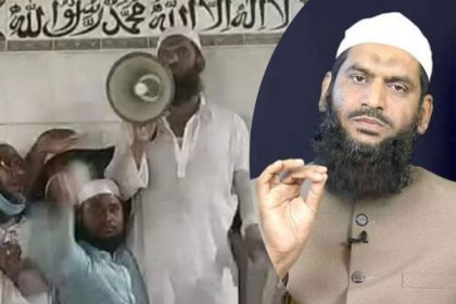 মুক্ত হয়ে যা বললেন আল্লামা মামুনুল হক