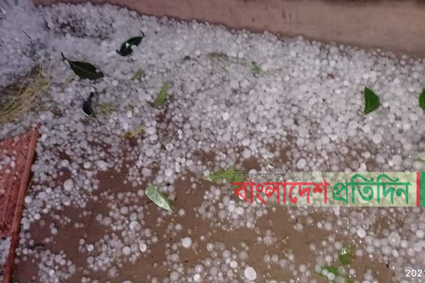 নাটোরে শিলাবৃষ্টি, ফসলের ব্যাপক ক্ষয়ক্ষতি