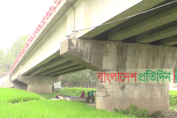 কুড়িগ্রামে নদীর শুকনো চরে সবুজ বোরো ক্ষেত