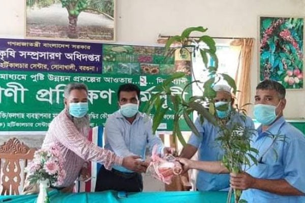 বরগুনায় বসতবাড়িতে ফল উৎপাদন বিষয়ক কর্মশালা
