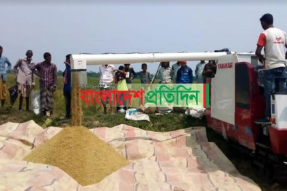 বোরো ধানের ভালো ফলন, কৃষকের মুখে হাসি