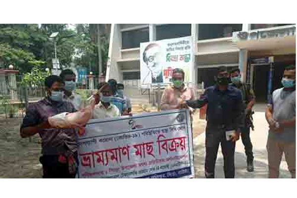 নাটোরে ভ্রাম্যমাণ ফিসভ্যানের মাধ্যমে মাছ বিক্রি 