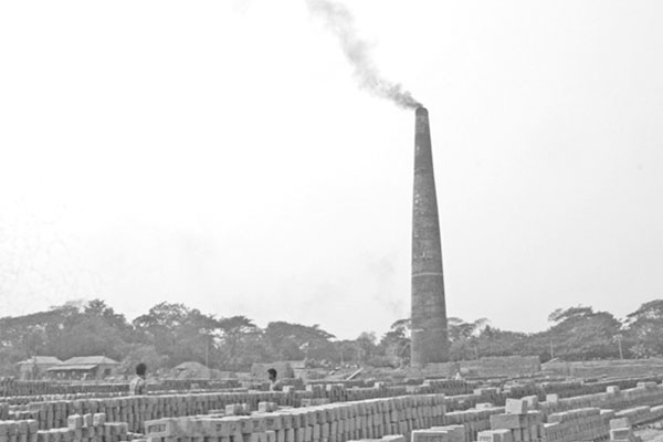 ইটভাটা গিলছে ফসলি জমি