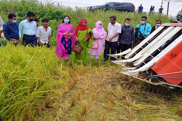 কসবায় কম্বাইন হারভেস্টার দিয়ে ধান কাটা উদ্বোধন 