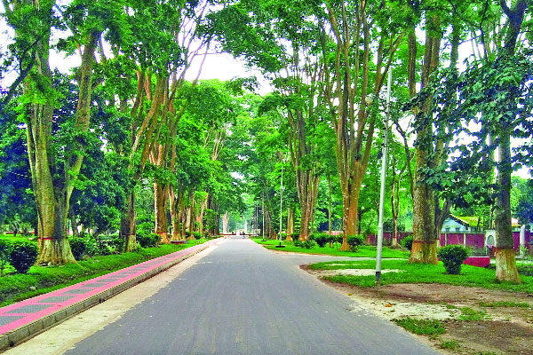 চেনা ক্যাম্পাসে অচেনা রূপ
