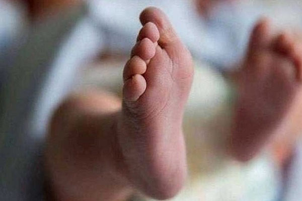 সড়কের ওপর কার্টনের ভেতর নবজাতকের মরদেহ
