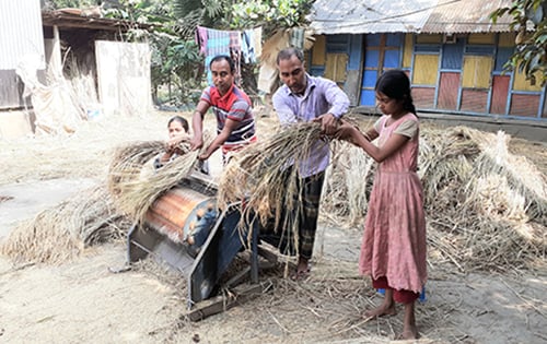 কুমিল্লার গ্রামে বোরো ফসল তোলার উৎসব, শংকা শিলাবৃষ্টি