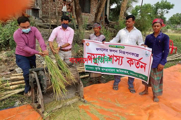লাকসামে বোরো ধান কাটা উদ্বোধন