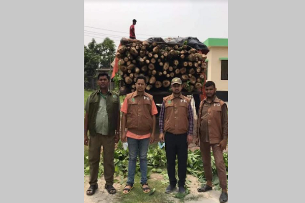 সোনারগাঁয়ে চোরাই গজারি কাঠ জব্দ