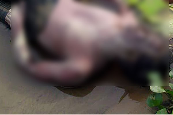 গোমতীতে ভেসে উঠলো মাছ ধরতে গিয়ে নিখোঁজ ব্যক্তির লাশ