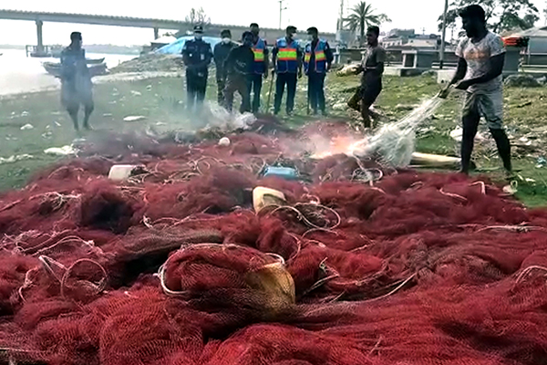 কলাপাড়ায় দুই লাখ মিটার অবৈধ জাল ধ্বংস
