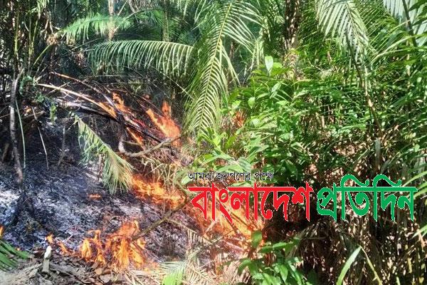 লাউয়াছড়া বনে আগুন