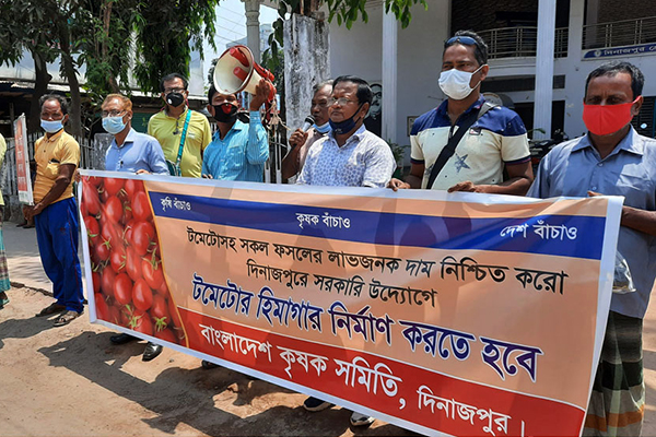 দিনাজপুরে টমেটো হিমাগার প্রতিষ্ঠার দাবিতে মানববন্ধন