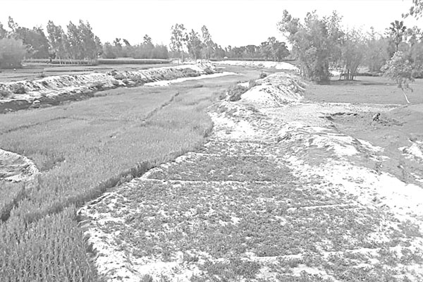 মরে যাচ্ছে বুড়ি তিস্তা