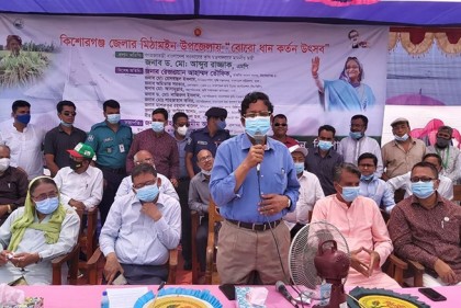 হাওরে ধানের ঝুঁকি কমাতে আগাম জাতের ধান চাষে গুরুত্ব দেয়া হচ্ছে