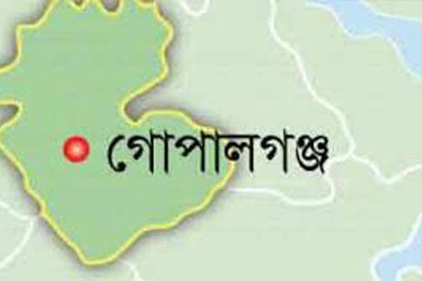 হেফাজতের পক্ষে লেখালেখি, গোপালগঞ্জে ছাত্রলীগের ৩ নেতা বহিষ্কার