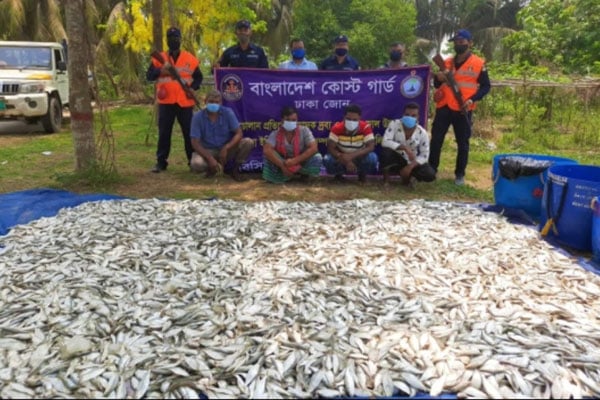 লৌহজংয়ের মাওয়ায় ২৫ মণ জাটকাসহ আটক ৪