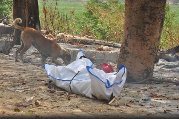 দিল্লির শ্মশানে লাশ নিয়ে হাহাকার, মরদেহ ছিঁড়ে খাচ্ছে কুকুর