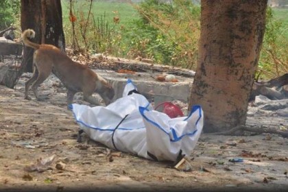 দিল্লির শ্মশানে লাশ নিয়ে হাহাকার, মরদেহ ছিঁড়ে খাচ্ছে কুকুর