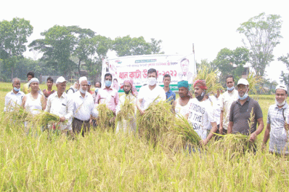 রাঙ্গুনিয়ায় স্বেচ্ছায় ধান কেটে দিচ্ছে কৃষকলীগ