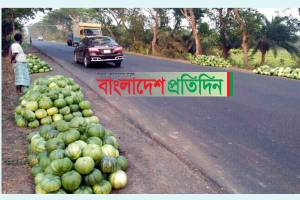 পাঁচ কিলোমিটার সড়কজুড়ে তরমুজ-বাঙ্গির বাজার 
