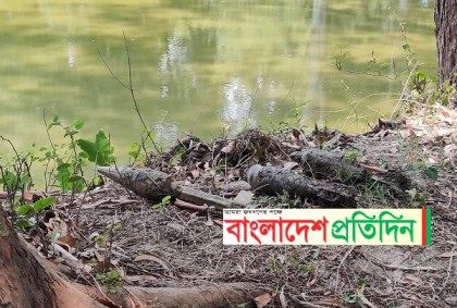 রাবির সেই পুকুর থেকে মর্টার শেল, রকেট লঞ্চার উদ্ধার