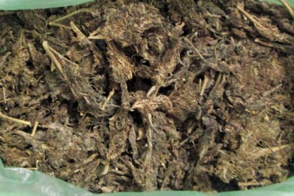 রাজধানীতে চার কেজি গাঁজাসহ গ্রেফতার ২
