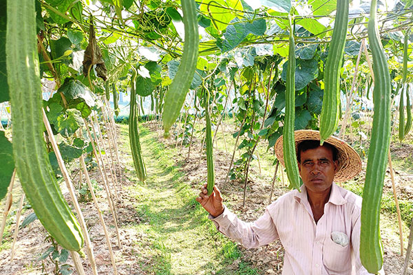 কৃষি কাজেই সুখি বিদেশ ফেরত সুভাষ