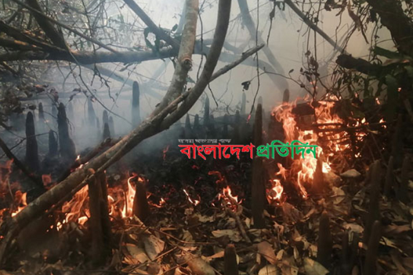 এখনো নিয়ন্ত্রণে আসেনি সুন্দরবনের আগুন