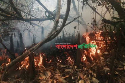 সুন্দরবনে ফের আগুন, দাউ-দাউ করে জ্বলছে গাছপালা ও লতাগুল্ম