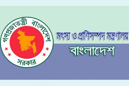 চলমান বিধিনিষেধে প্রাণিজ আমিষ নিশ্চিতে যেভাবে কাজ করছে সরকার

