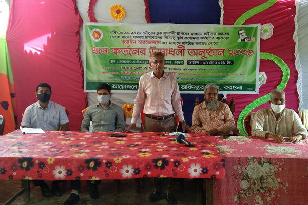 বরগুনায় বোরো ধান কর্তনে মাঠ দিবস অনুষ্ঠান