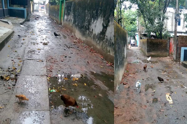 ঠাকুরগাঁওয়ে বৃষ্টি হলেই রাস্তায় ড্রেনের পানি, দুর্ভোগে এলাকাবাসী