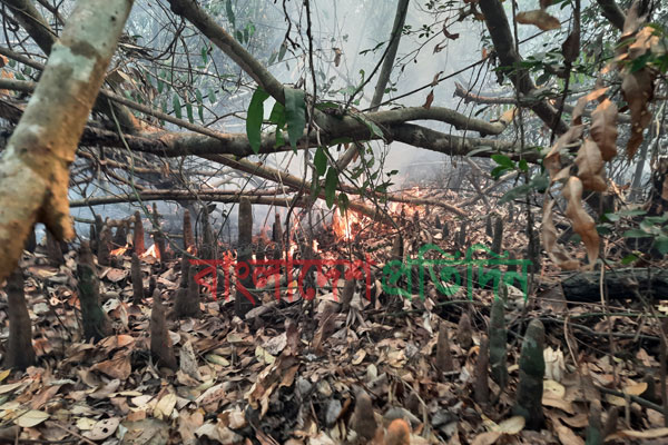 ৫৩ ঘণ্টা ধরে জ্বলছে সুন্দরবনের আগুন