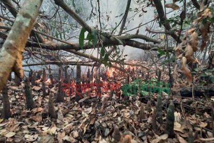 ৫৩ ঘণ্টা ধরে জ্বলছে সুন্দরবনের আগুন