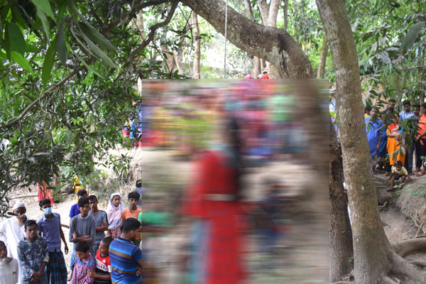 বিয়ের ১৬ দিনের মাথায় আম গাছে স্ত্রীর ঝুলন্ত মরদেহ

