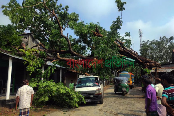 দিনাজপুরে কালবৈশাখী ঝড়ে তিন ইউনিয়নে ব্যাপক ক্ষতি