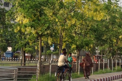 ফুলে ফুলে রঙিন বরিশাল 