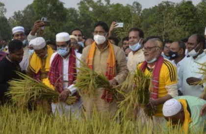 সারাদেশে আনন্দমুখর পরিবেশে বোরো ধান কাটা চলছে: কৃষিমন্ত্রী


