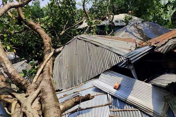 দিনাজপুরে ঝড়ে শতাধিক ঘর-বাড়িসহ ফসলের ক্ষতি