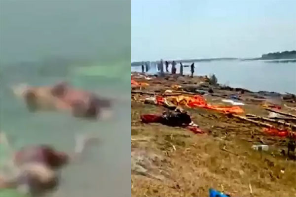 বীভৎস দৃশ্য! গঙ্গা নদীতে ভেসে এলো ৪০/৪৫টা গলাপচা মৃতদেহ (ভিডিও)

