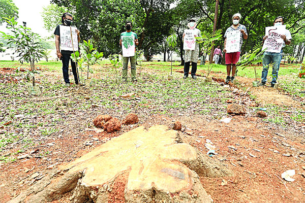 গাছ কেটে ফেলার প্রতিবাদে মানববন্ধন