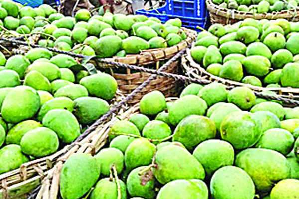 সময়ের আগেই বাজারে আম
