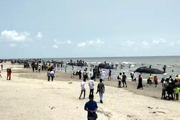 কুয়াকাটায় মাইকিং করে দর্শনার্থীদের ফেরত পাঠালো পুলিশ