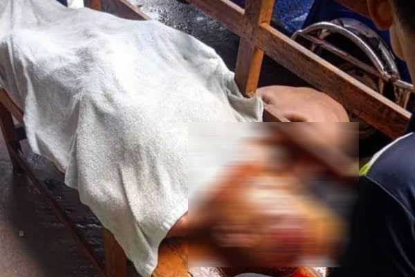 নবীনগরে কালবৈশাখী ঝড়ে গাছের ডাল ভেঙে বৃদ্ধের মৃত্যু 
