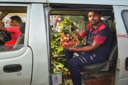 মাইক্রোবাসে করে লিচু বিক্রি!